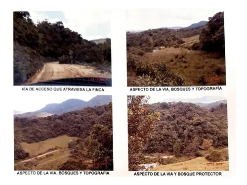 Finca En Venta En Vereda San Miguel. Cod V2379