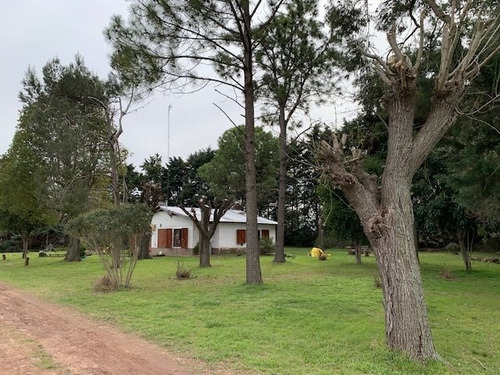 Granja Avícola En San Andrés De Giles (bs. As.)