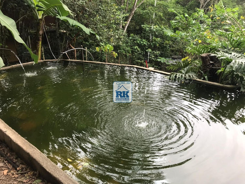 Imagem 29 de 30 de Chácara À Venda Em Vargem Do Bom Jesus - Ch008530