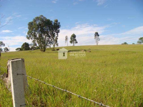 Imagem 1 de 8 de Terreno, Dona Catarina, São Roque - R$ 21.2 Mi, Cod: 4118 - V4118