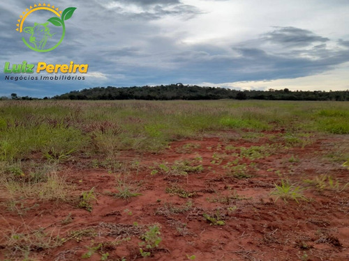 Imagem 12 de 15 de Fazenda À Venda Em Palmeiras - To - 1.297 Hectares (dupla Aptidão) - 1932