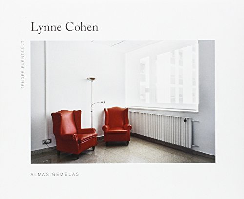 Libro Almas Gemelas De Cohen Lynne Trama