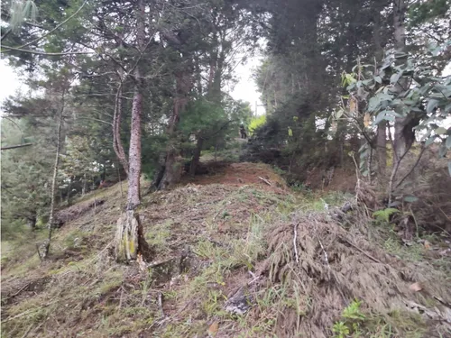 Lote En Guarne Vereda La Clarita Cerca De La Vía Principal