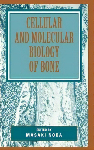 Cellular And Molecular Biology Of Bone, De Masaki Noda. Editorial Elsevier Science Publishing Co Inc, Tapa Dura En Inglés