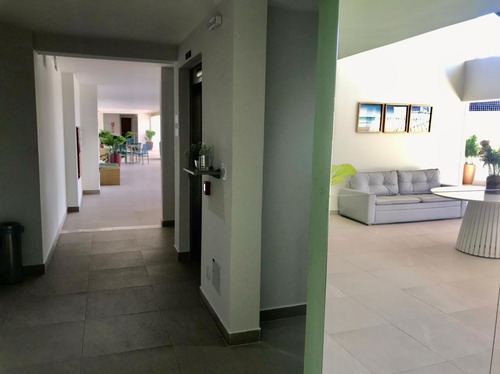 Apartamento - Pk1095a02 - 69194506