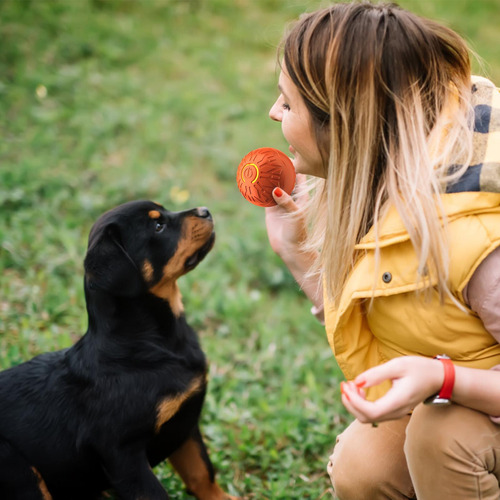 Peppy Ball Pelota Para Mascotas Para Perros Bola Eléctrica C