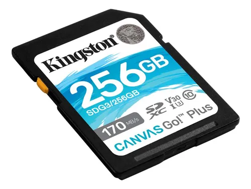 Sdg3/256gb Memoria Sd Canvas Go Plus 256 Gb