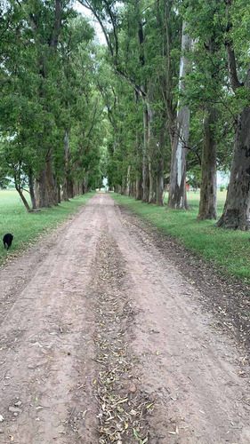 Casa De Campo En Monte