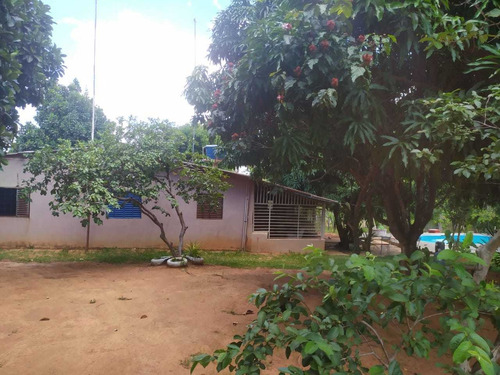Vd Excelente Chacara 4.000m² -nova Petrópolis-planaltina-go