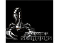 Accesories Scorpions