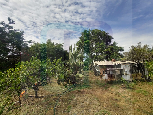 Terreno En Venta Atlatlahucan Morelos