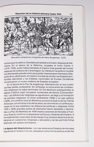 La Actualidad De Alemania / A. Hoffmann (Usado)