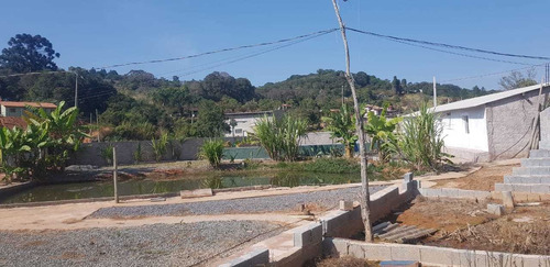 Imagem 13 de 13 de Boa Chácara C/ Piscina E Lago
