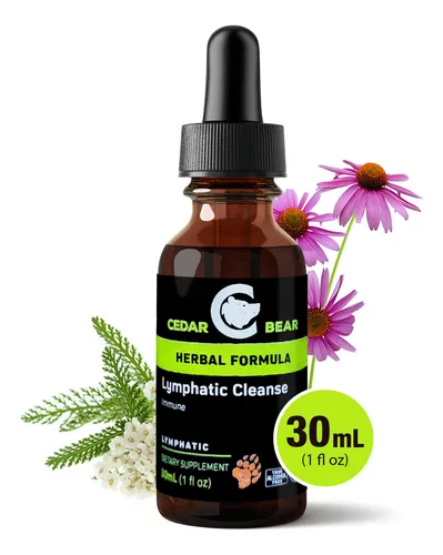 Mejora Tu Salud Linfatica Con Cedar Bear