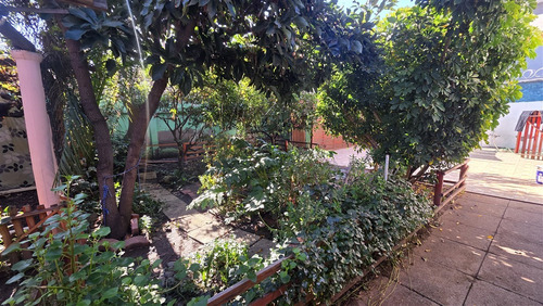 Casa En Venta De 3 Dorm. En Macul