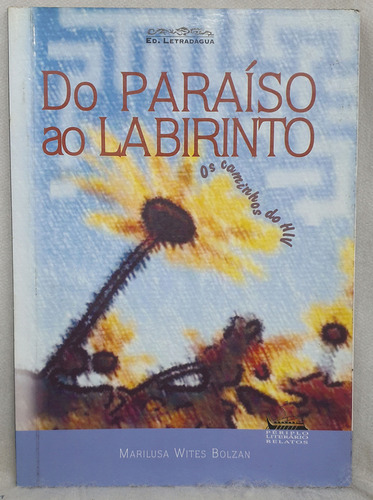 Livro Do Paraíso Ao Labirinto - Os Caminhos Do Hiv - Marilusa Wites Bolzan (Usado)
