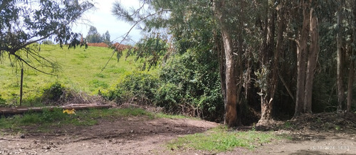 Parcela De 6,5 Ha En Comuna Rio Claro, Region Del Maule,