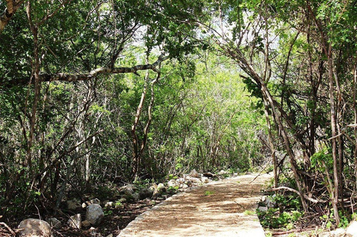 Imagen 12 de 12 de Terrenos En Venta En Privada Phula, Mérida, Yucatán