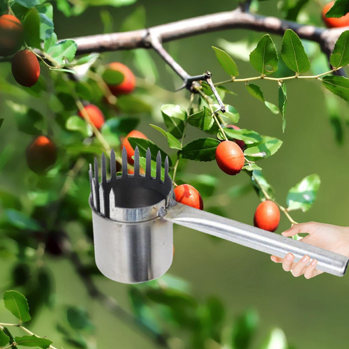 Picker De Frutas Portátil Para Pequenas Frutas Que Colhem