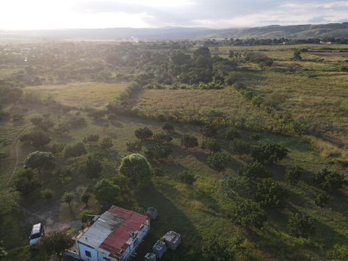 Imagen 11 de 24 de Granja En Venta Yaritagua 12 Hectareas Cod. 23-17577
