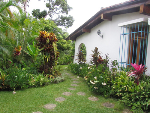 Imagen 1 de 30 de Se Vende Casa 800m2 4h/6b/4p Lomas Del Mirador 9214