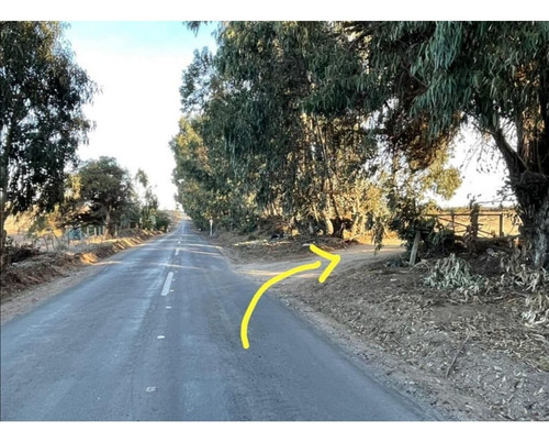 Imagen 11 de 15 de Vende Terrenos, Ritoque. Proyecto Altos De Bosquemar, Ritoqu