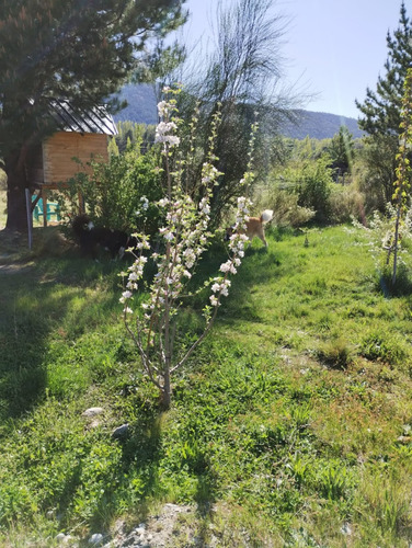 Vendo Excelente Propiedad En Epuyen