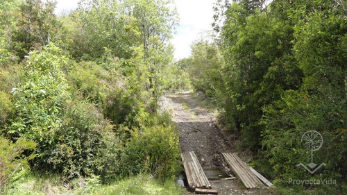 Venta Parcela 1 Hectárea En Ancud, Chiloé