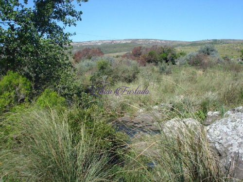 Imagen 7 de 18 de Campo 98 Has Con 2891 M2 En Carape Cuenta Con Costa De Arroyo.
