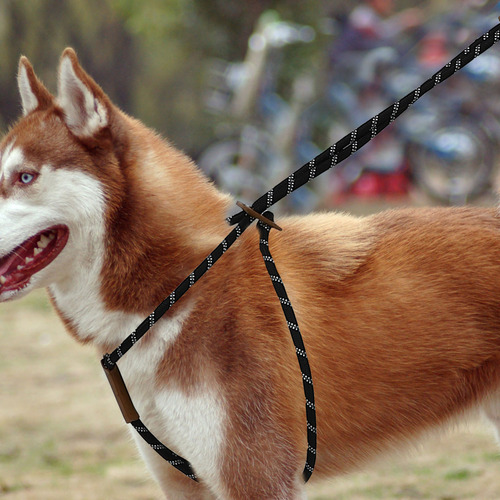 Cuerda De Tracción Para Perros Al Aire Libre, Larga Y Pequeñ