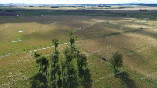 Campo Con Casa En Venta 65 Hectáreas