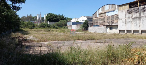 Terreno Para Aluguel, Planalto - São Bernardo Do Campo/sp - 98120