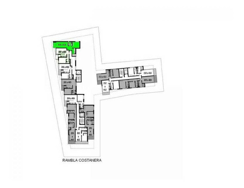 Departamentos Alquiler Colonia Del Sacramento