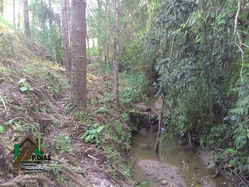 Imagem 14 de 20 de Chácara Simples Em Pinhalzinho, Região Do Circuito Das Águas Paulista - Ch0095