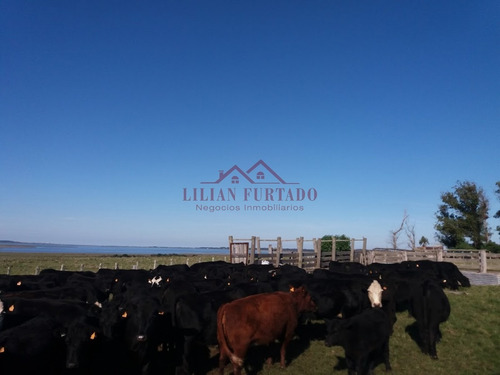 26 Has En Zona Laguna Jose Ignacio - Ref: 654