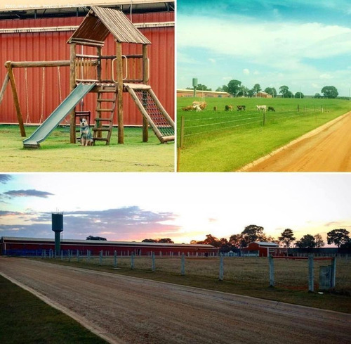 Imagem 8 de 9 de Fazenda Para Venda Em Serra Negra, (fazendinha) - A1813_2-1167770