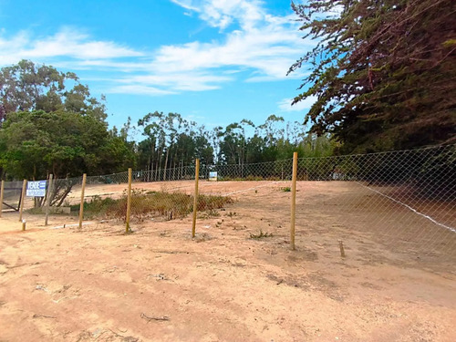 Oportunidad Única De Inversion Desde 600 M² (177693)