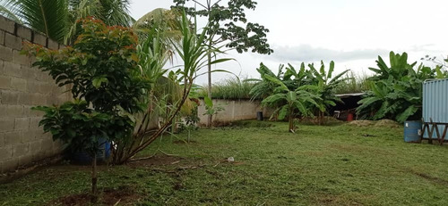 Parcela Terreno Unifamiliar Jardín Mañongo Wasi 5043715