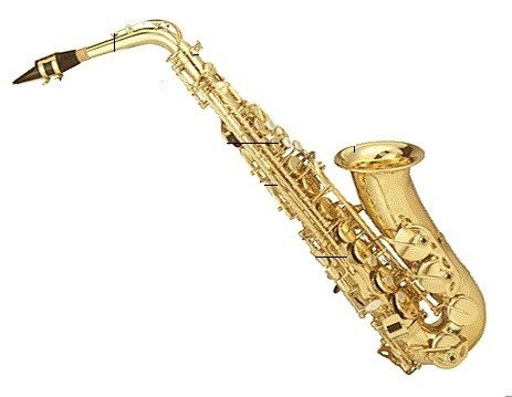 Saxo Alto Ocean Oas190 De Estudio Con Estuche