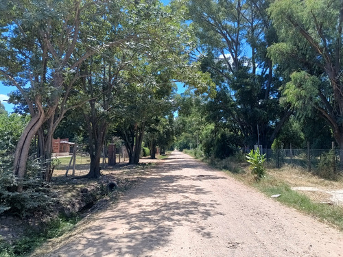 Terreno Loma Verde 2200 M2 Con Construccion De 85 M2 Y 240 M2 De Patio Urgente Por Viaje