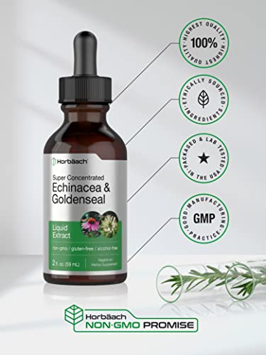 Suplemento De Extrato Líquido Horbäach Echinacea Goldenseal