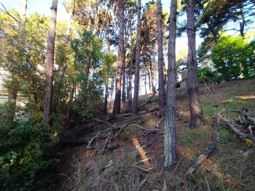 Imagen 4 de 7 de Terreno En Venta En Mar De Las Pampas