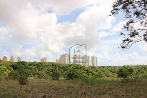 Granja Com 85 Mil M² - Casa Principal Com 3 Dormitórios À Venda - Emaús - Parnamirim/rn - Ch0002 - Ch0002