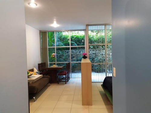 Imagen 7 de 29 de Renta Departamento En Planta Baja Con Internet Loft Triumph Tower