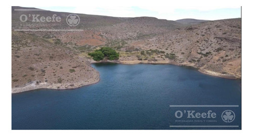 Imagen 3 de 28 de 8.805 Has En Neuquen Venta / Alquiler, Con 18 Km De Costa Del Embalse Piedra Del Águila.