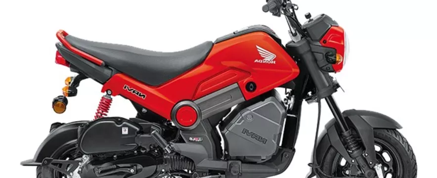 Honda Navi 2024