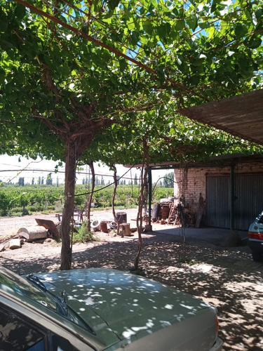 Finca Con Produccion Y Vivienda