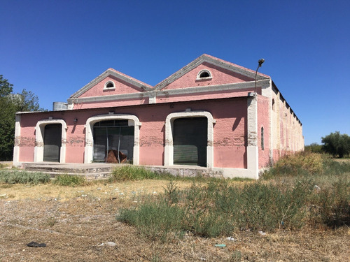 Bodega Boutique Y Finca En San Rafael. Terreno Apto Para Loteo De 650 Lotes De 400 M2 C/u. Alquiler De Tierra Para Pasto O Ajo. Oportunidad Para Invertir En San Rafael, Mendoza.