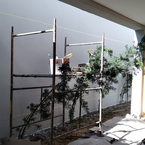 Imagem 4 de 5 de Santos Pinturas E Jardinagem
