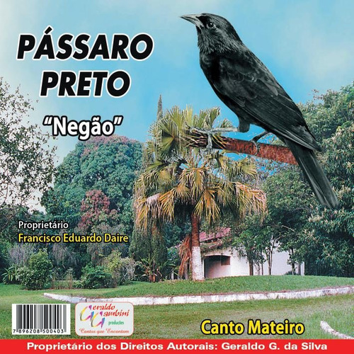 Cd Canto-de Pássaros  Pássaro Preto    -  Canto Mateiro